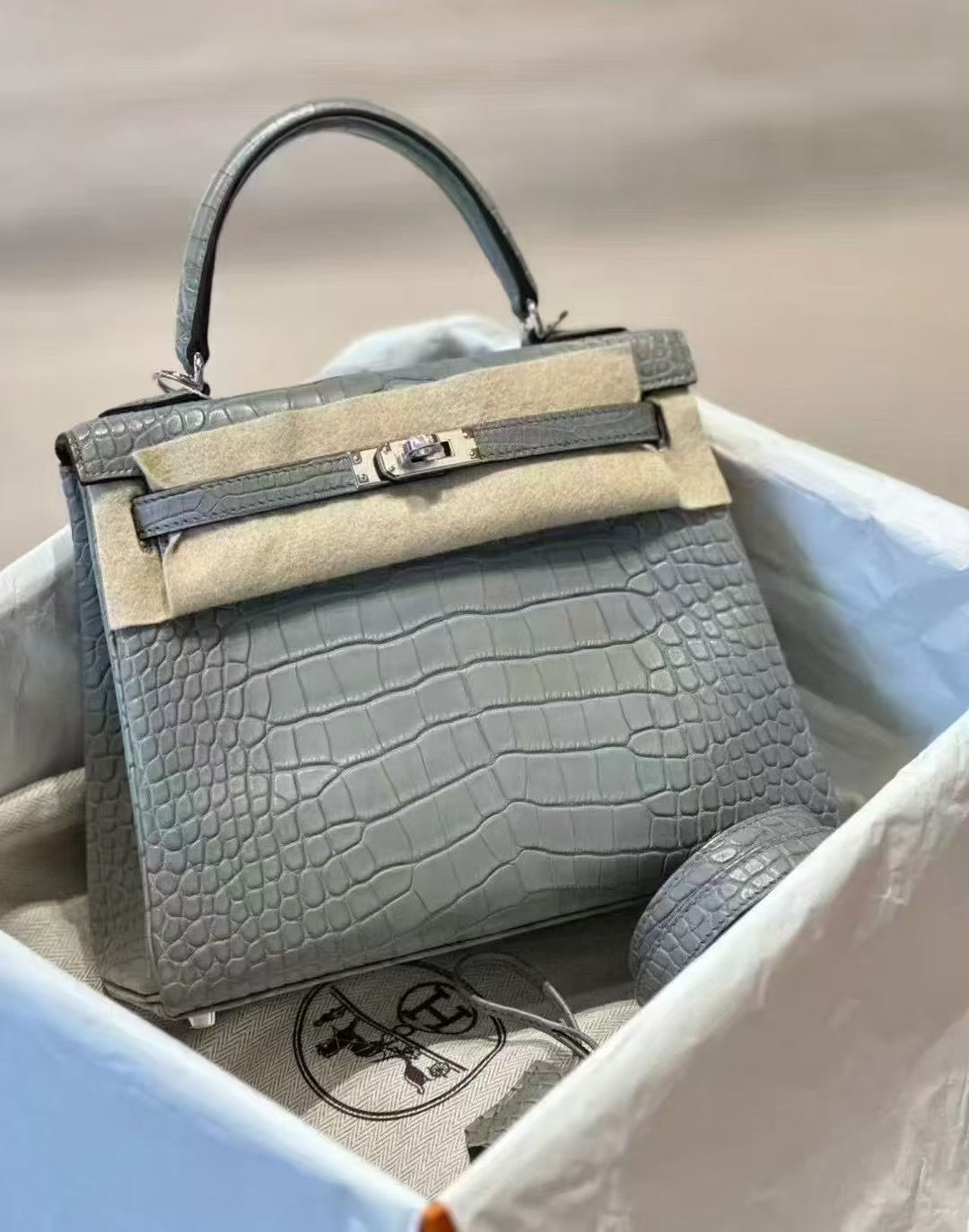 Hermès Kelly 25 in Crystal Grey Alligator